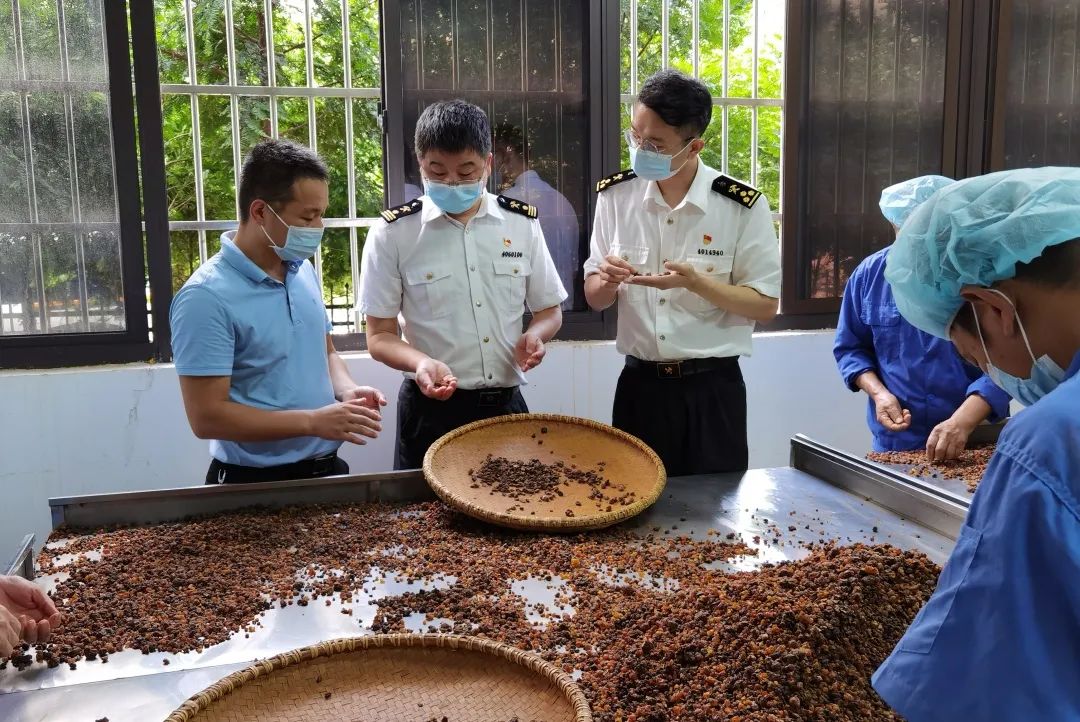 中药材出口必要办理什么手续
