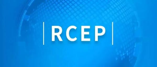 RCEP知识产权；び敕缦辗辣