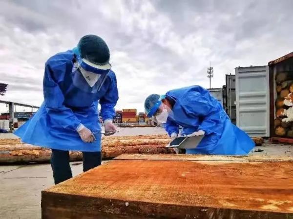 进口木材必要办理什么手续