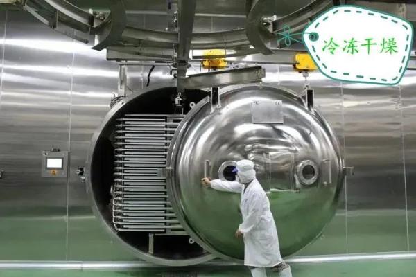 脱水蔬菜出口必要什么资质？（附具体办理流程）