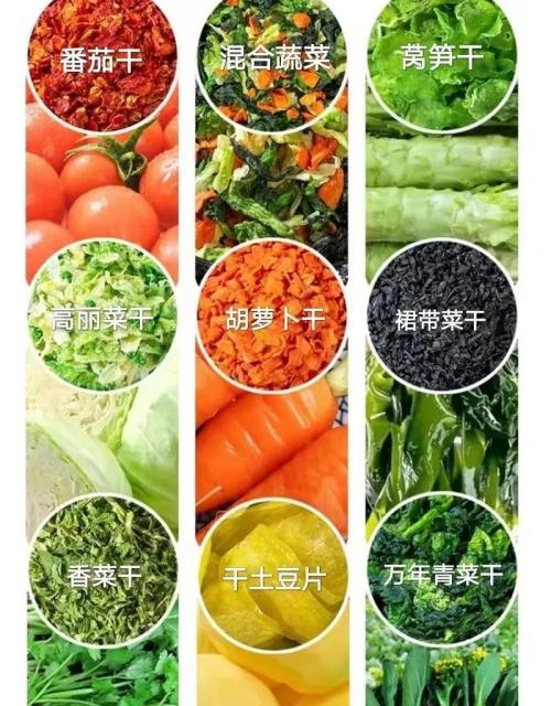 脱水蔬菜出口必要什么资质？（附具体办理流程）